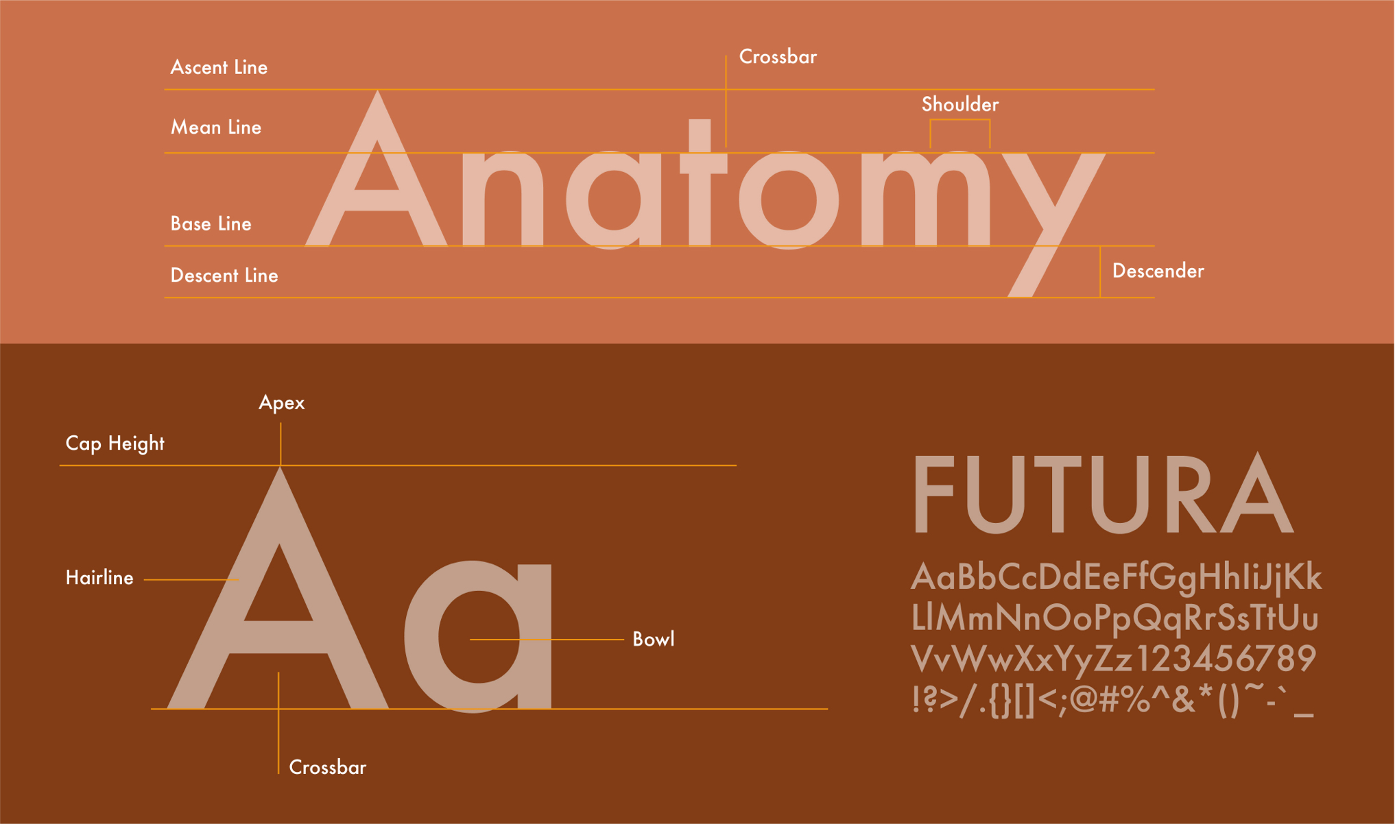 futura typeface